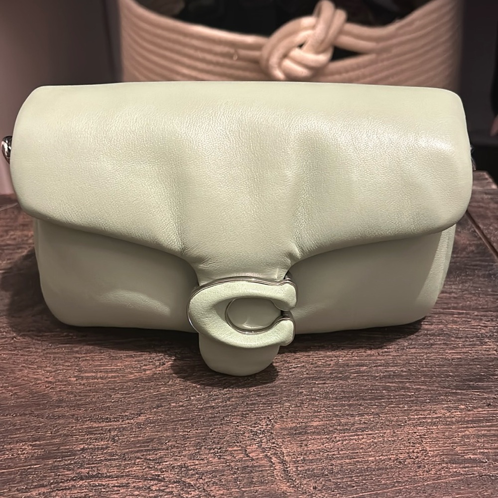 Coach Pillow Tabby 18